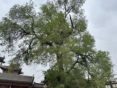 -内蒙古将军衙署博物院