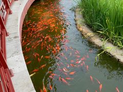 -西海子公园