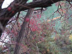 -辽宁大学(崇山校区)
