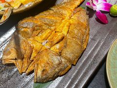 -古田居·特色寿司料理(骏欣中心店)