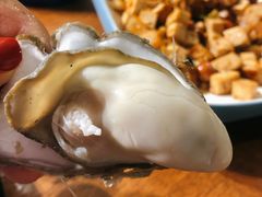 -臻炙大舍烤串(天龙家园店)