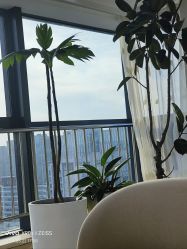 -HEYAN荷妍专业脱毛连锁机构