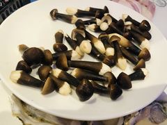 -千岛蚝高压锅生蚝·人参火锅(白云万达店)