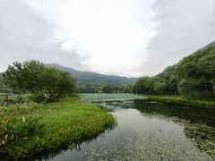 -八卦田遗址公园