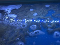 -海天盛宴新派海鲜自助餐厅(群力店)