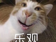 -海底捞火锅(航洋城店)