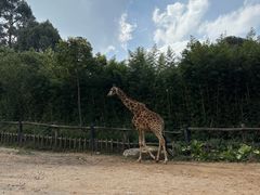 -云南野生动物园