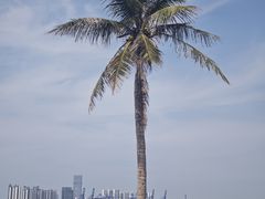 -西秀海滩公园