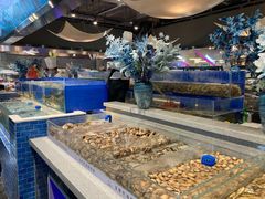 鲍鱼-圣罗巴海鲜自助(黑金店)