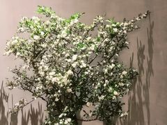 -二酉书店TOYOU BOOKS