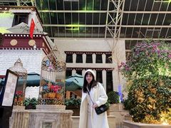 -拉萨圣地天堂洲际大饭店-自助餐厅