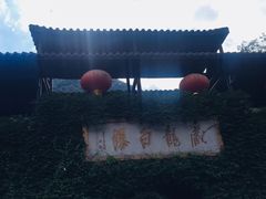 -藏龙百瀑风景区