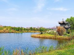-眉山湿地公园(东坡区)