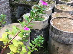 -景德镇陶瓷民俗博物馆