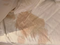 -瑞派罗医生宠物诊所(古镇分所)