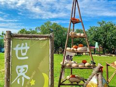 -沂蒙山旅游区龟蒙景区