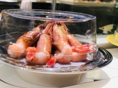 甜虾刺身-禾绿回转寿司(苏宁广场店)