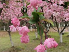 -白塘生态植物园