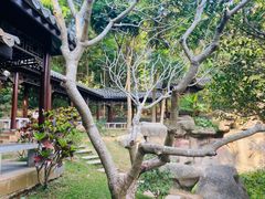 -深圳国际园林花卉博览园