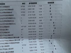 -菲尔斯特宠物医院