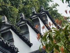 -上海醉白池公园