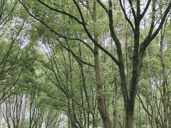 -柯岩风景区