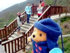 android_upload_pic-广州市石门国家森林公园