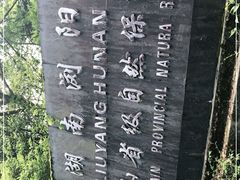 -大围山国家森林公园