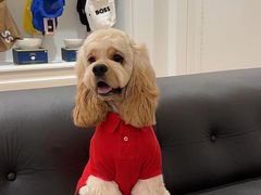 -斯普瑞斯奥特莱斯