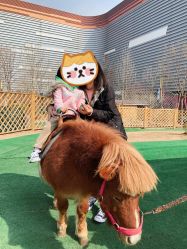 -萌宠亲子动物乐园(槐房万达店)