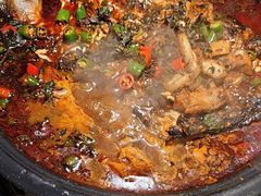 -探鱼·鲜青椒爽麻烤鱼(北京路天河城店)