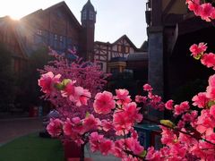 -郑州方特梦幻王国