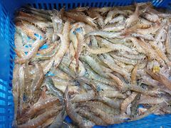-盒马鲜生(联投广场店)