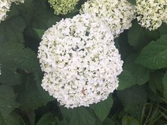 -意大利农场度假村