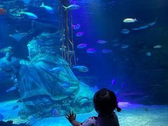 -沈阳海洋探索中心