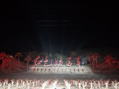 -三亚红色娘子军演艺公园景区