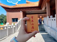-深圳仙湖植物园