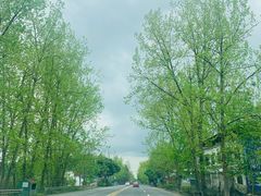 -紫颐香薰山谷景区