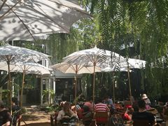 -Fern Forest Cafe