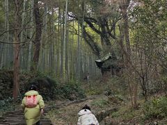-东明山森林公园