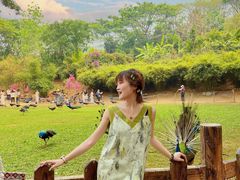 -西双版纳勐泐文化旅游区