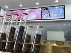 -雾与山茶(大禹城店)