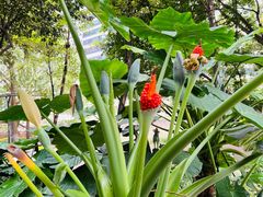 -成都市活水公园