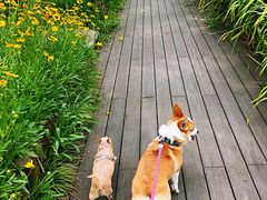 -长田漾湿地公园