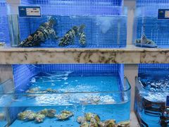 -香山湖渔家大院