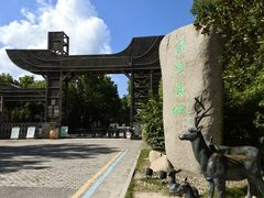 -溱湖国家湿地公园