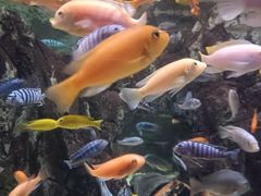 -太平洋海底世界