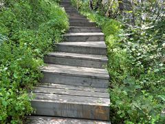 -白草畔自然风景区