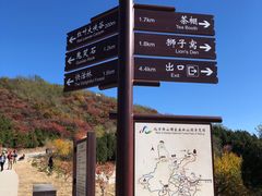 -北京西山国家森林公园