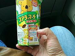 -关西国际机场直营免税店